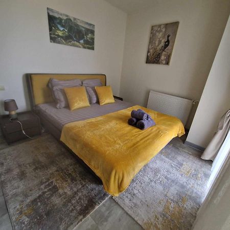 Avram Iancu Apartment ブラショフ エクステリア 写真